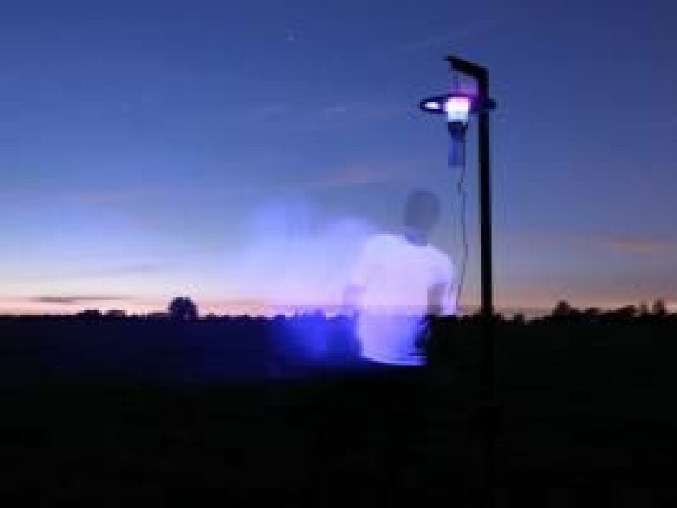 Night traps were set up to catch the tiny midges. The midges are attracted to ultraviolet light and are then sucked into a container below the trap. (Photo: Carsten Kirkeby)