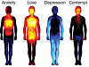 Emotions Mapped Out In The Body