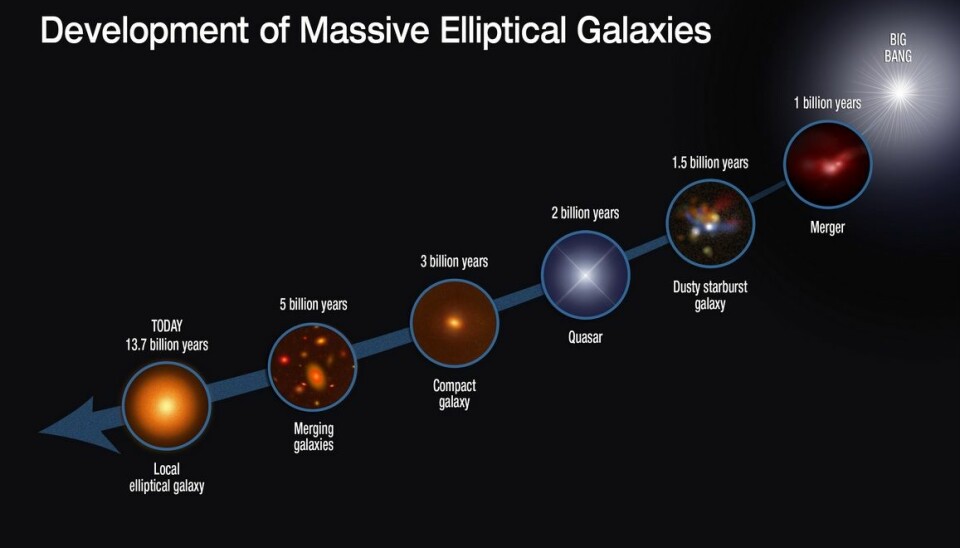 This graphic shows the evolutionary sequence in the growth of massive elliptical galaxies over 13 billion years, as gleaned from space-based and ground-based telescopic observations. The growth of this class of galaxies is driven by rapid star formation in the so called SMG galaxies and mergers with other galaxies (NASA, ESA, S. Toft og A. Feild)