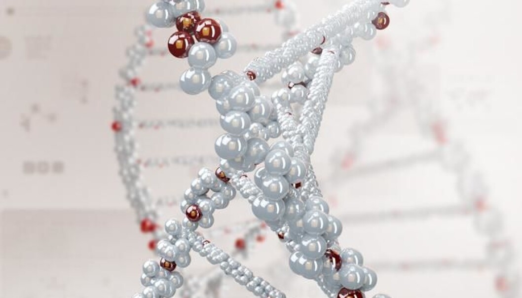 Young people who exercise a lot develop greater muscle mass and have better odds of a healthy life and healthy ageing. This is could be due to the altered levels of muscle-specific molecules (miRNAs), which used to be thought of as ‘junk RNA’. (Photo: Shutterstock) Young people who exercise a lot develop greater muscle mass and have better odds of a healthy life and healthy ageing. This is could be due to the altered levels of muscle-specific molecules (miRNAs), which used to be thought of as ‘junk RNA’. (Photo: Shutterstock)