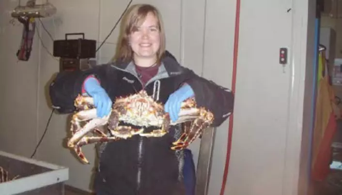 Respiratory problems plague king crab workers