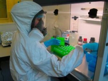 Dr Christina Warinner working with the ancient DNA at Zürich Universtiy. (Photo: Christina Warinner) Dr Christina Warinner working with the ancient DNA at Zürich Universtiy. (Photo: Christina Warinner)