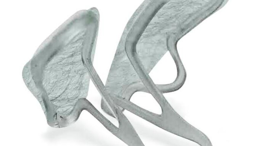 The new Rhinix nose filter is attached to the nose with a strap. The two membranes are placed inside the anterior part of the nostrils, where they capture the pollen in the air before it reaches the nasal mucosa and causes allergies. (Photo: Peter Sinkjær Kenney) The new Rhinix nose filter is attached to the nose with a strap. The two membranes are placed inside the anterior part of the nostrils, where they capture the pollen in the air before it reaches the nasal mucosa and causes allergies. (Photo: Peter Sinkjær Kenney)