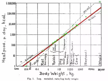 Kleiber’s original model from 1932, showing body size versus metabolic rate for a variety of species. (Photo: Physiological Reviews)