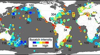 Map outlines global hotpots of bycatch intensity