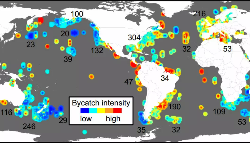 This map shows hotspots of bycatch intensity across the globe. The numbers indicate how much data is available from each area. (Illustration: PNAS)