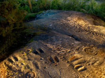 Rock carvings from Skjelin in Østfold
County, Norway. (Photo: Jørn Bøhmer Olsen)
Rock carvings from Skjelin in Østfold
County, Norway. (Photo: Jørn Bøhmer Olsen)