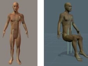 The computer model posing in a standing and sitting position. The white lines show measurements of the lesions. (Photo: Slot, Larsen and Lynnerup 2014, JFS) The computer model posing in a standing and sitting position. The white lines show measurements of the lesions. (Photo: Slot, Larsen and Lynnerup 2014, JFS)