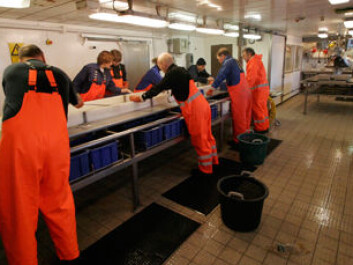 The research vessel Dana is equipped with both microscopic and macroscopic laboratories. (Photo: Line Reeh/DTU) The research vessel Dana is equipped with both microscopic and macroscopic laboratories. (Photo: Line Reeh/DTU)