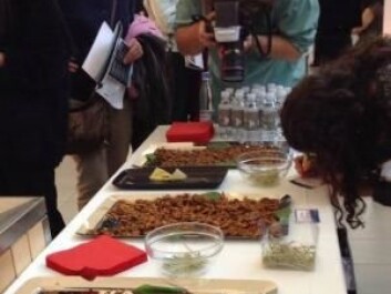 To demonstrate how other cultures use insects, visitors to the ‘Food in the Future’ event were offered deep-fried crickets and grasshoppers. (Photo: Anne Marie Lykkegaard) To demonstrate how other cultures use insects, visitors to the ‘Food in the Future’ event were offered deep-fried crickets and grasshoppers. (Photo: Anne Marie Lykkegaard)