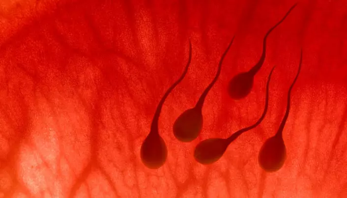 Sperm harmed by soaps and suntan lotions