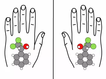 Chiral connections in living organisms are only found in one mirror form. This is like saying that the body is only made up of left-handed molecules that are mirrored – not right-handed molecules. If a drug is to work optimally it must metaphorically speaking be developed as a glove for a left hand; a drug developed for a right hand will not match the molecules. (Illustration: Anton Rasmussen, Aarhus University)
