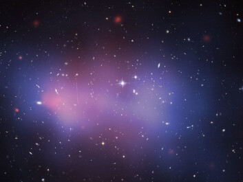 The picture is taken from the Hubble Space Telescope in April 2014. The X-ray image from the Chandra Observatory shows the hot gas in pink, and a computer generated map shows the most probable distribution of dark matter in blue, computed from gravitational lens distortions of background galaxies. (Photo: NASA) The picture is taken from the Hubble Space Telescope in April 2014. The X-ray image from the Chandra Observatory shows the hot gas in pink, and a computer generated map shows the most probable distribution of dark matter in blue, computed from gravitational lens distortions of background galaxies. (Photo: NASA)