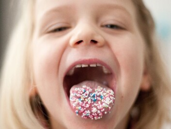 Children who consume a lot of sugar can develop a preference for sweet tastes. This may persist in adulthood. (Photo: Jan Haas/NTB Scanpix) Children who consume a lot of sugar can develop a preference for sweet tastes. This may persist in adulthood. (Photo: Jan Haas/NTB Scanpix)