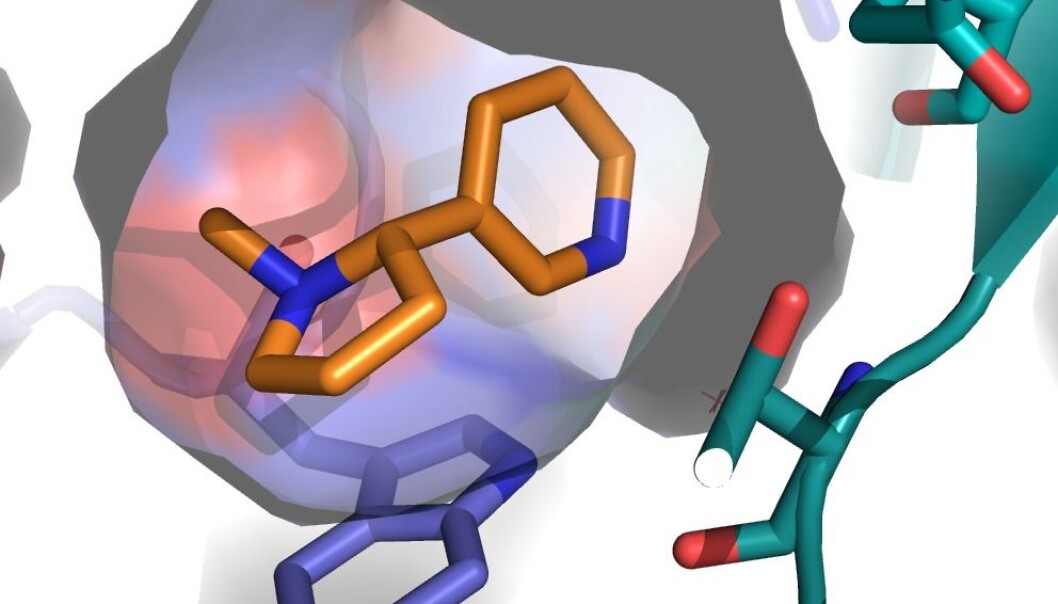 An example of the 3D receptor model. The orange shape is nicotine, which is attached to the newly discovered binding site. (Graphic: Thomas Balle) An example of the 3D receptor model. The orange shape is nicotine, which is attached to the newly discovered binding site. (Graphic: Thomas Balle)