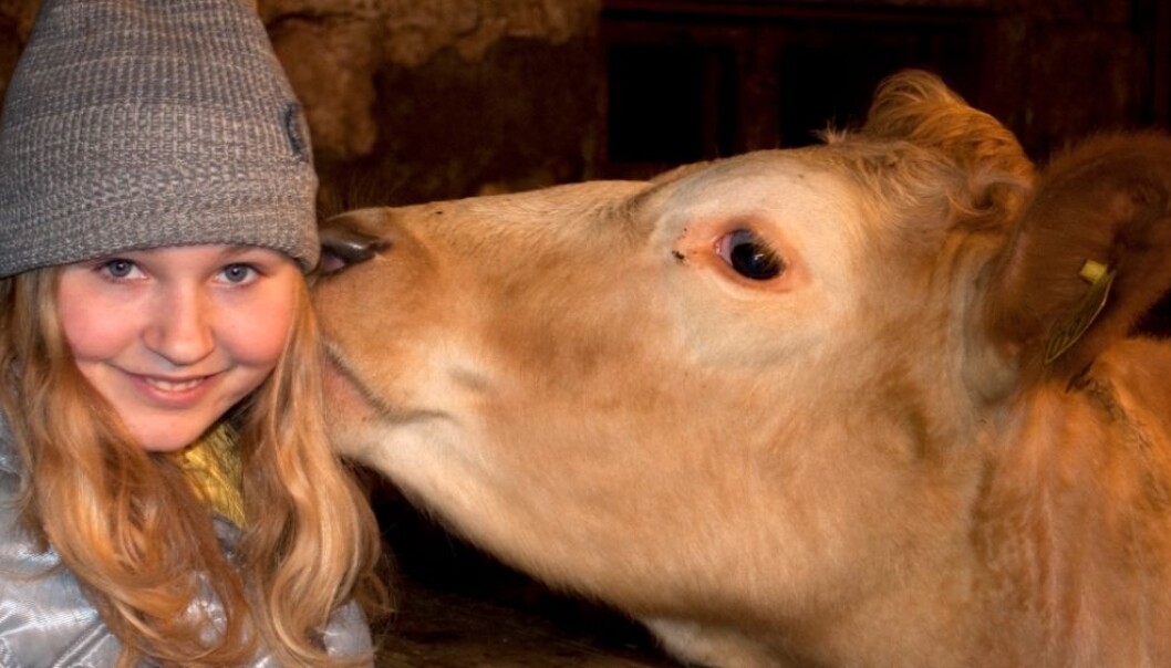 Researchers at Gothenburg University followed 65 healthy new-borns for three years. All of the children lived in rural areas, and half of them lived on dairy farms. (Photo: Colourbox) Researchers at Gothenburg University followed 65 healthy new-borns for three years. All of the children lived in rural areas, and half of them lived on dairy farms. (Photo: Colourbox)