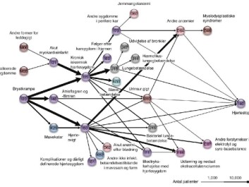 This is what a mapping of disease could look like. Mappings such as this can be used to predict, at least to some extent, what types of illnesses could develop in a population. (Illustration: Søren Brunak) This is what a mapping of disease could look like. Mappings such as this can be used to predict, at least to some extent, what types of illnesses could develop in a population. (Illustration: Søren Brunak)