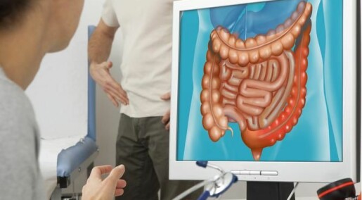 New study completes mapping of our gut bacteria