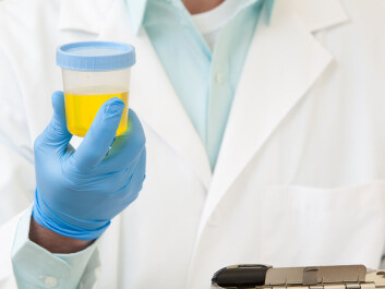 Wouldn’t it be great if you could use your pee to charge your phone? An international team of researchers think so. They want to find out how to make this happen by using microbiological fuel cells. (Photo: <a href="http://www.shutterstock.com/da/pic-106582991/stock-photo-a-doctor-holding-a-urine-sample.html?src=8dsDZyoTHOjxfujgm6bC2Q-1-3" target="_blank">Shutterstock</a> Wouldn’t it be great if you could use your pee to charge your phone? An international team of researchers think so. They want to find out how to make this happen by using microbiological fuel cells. (Photo: <a href="http://www.shutterstock.com/da/pic-106582991/stock-photo-a-doctor-holding-a-urine-sample.html?src=8dsDZyoTHOjxfujgm6bC2Q-1-3" target="_blank">Shutterstock</a>