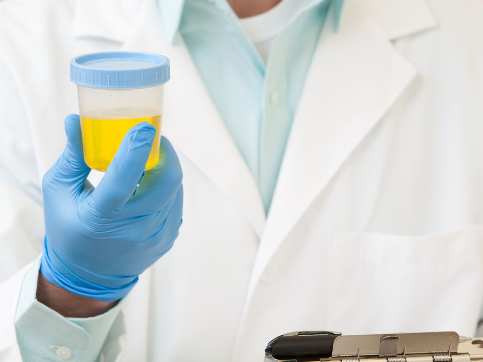 Wouldn’t it be great if you could use your pee to charge your phone? An international team of researchers think so. They want to find out how to make this happen by using microbiological fuel cells. (Photo: Shutterstock