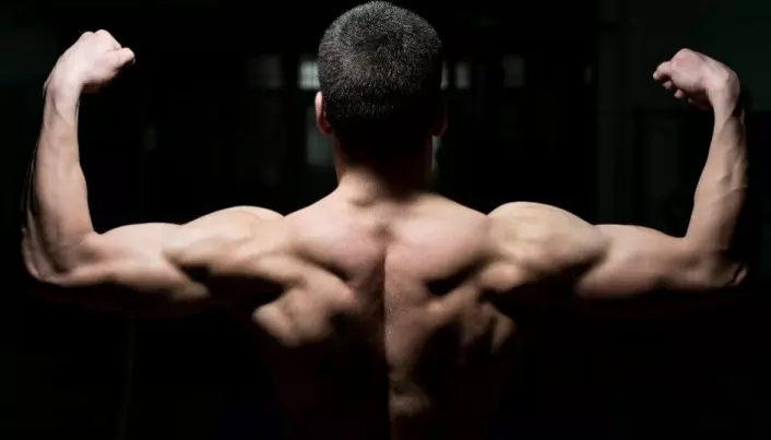 Men in rehab use anabolic steroids