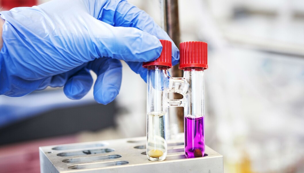 In a new study, scientists demonstrates how CO2 can be converted into pharmaceutical products. (Photo: Anders Trærup/Aarhus University) In a new study, scientists demonstrates how CO2 can be converted into pharmaceutical products. (Photo: Anders Trærup/Aarhus University)