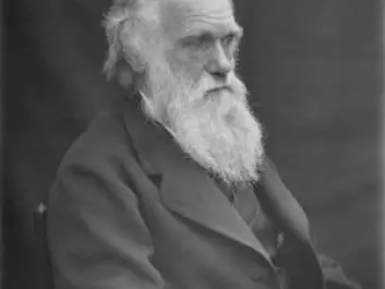 Before Charles Darwin published his famous theory of evolution, he needed to establish himself as a serious scientist. He partly achieved this by studying barnacles. Here is Darwin around the year 1874 (Photo: Wikimedia Commons)