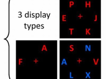 The display shown to the test subjects. In the lower right quadrant, subjects were asked to concentrate on the red letters and disregard the blue. The non-smokers who had not received nicotine performed significantly better in this test than the others. (Illustration: Signe Vangkilde) The display shown to the test subjects. In the lower right quadrant, subjects were asked to concentrate on the red letters and disregard the blue. The non-smokers who had not received nicotine performed significantly better in this test than the others. (Illustration: Signe Vangkilde)