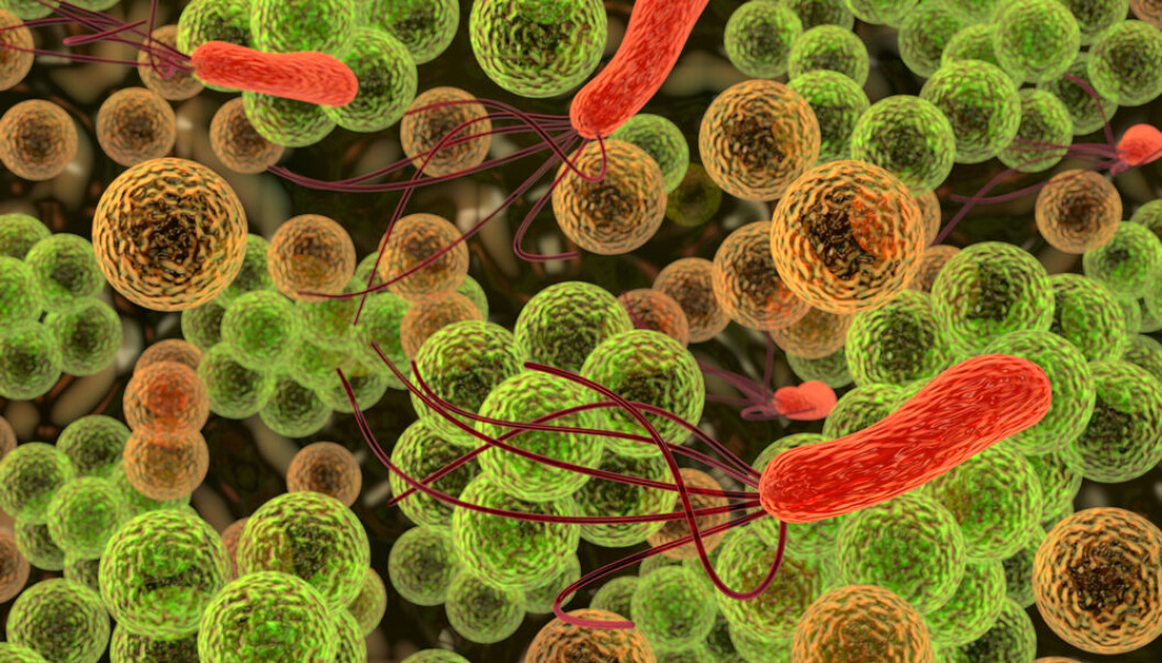 Antipsychotic drugs have proven effective at killing resistant bacteria when combined with regular antibiotics. (Photo: Shutterstock) Antipsychotic drugs have proven effective at killing resistant bacteria when combined with regular antibiotics. (Photo: Shutterstock)