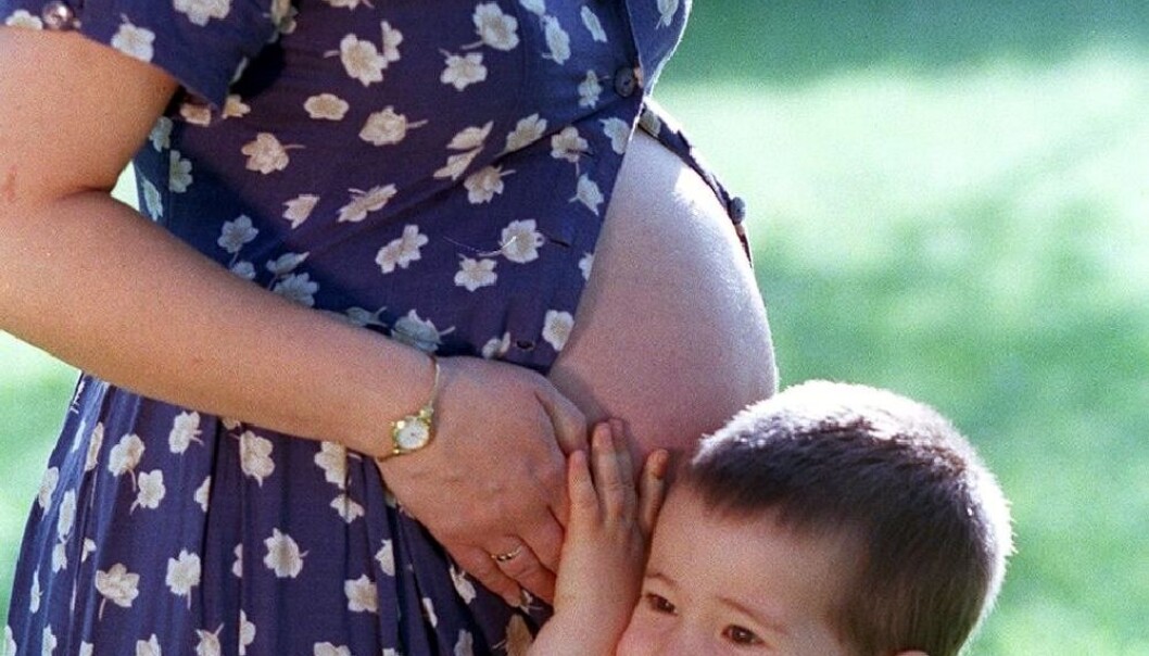 Trials indicate that diesel particles can affect our children's DNA for several generations. Although the trials were with mice, with diesel particles from a fork-lift truck, they may mean that diesel particles in traffic can affect humans. (Photo: Colourbox) Trials indicate that diesel particles can affect our children's DNA for several generations. Although the trials were with mice, with diesel particles from a fork-lift truck, they may mean that diesel particles in traffic can affect humans. (Photo: Colourbox)