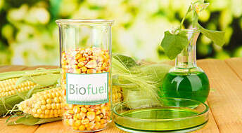 Biofuel breakthrough: scientists use GMO yeast to produce fuel