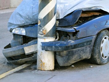 An accident like this can be less serious if we imitate the impact-absorbing techniques of hedgehogs and rams, a Danish researcher believes. (Photo: Colourbox) An accident like this can be less serious if we imitate the impact-absorbing techniques of hedgehogs and rams, a Danish researcher believes. (Photo: Colourbox)