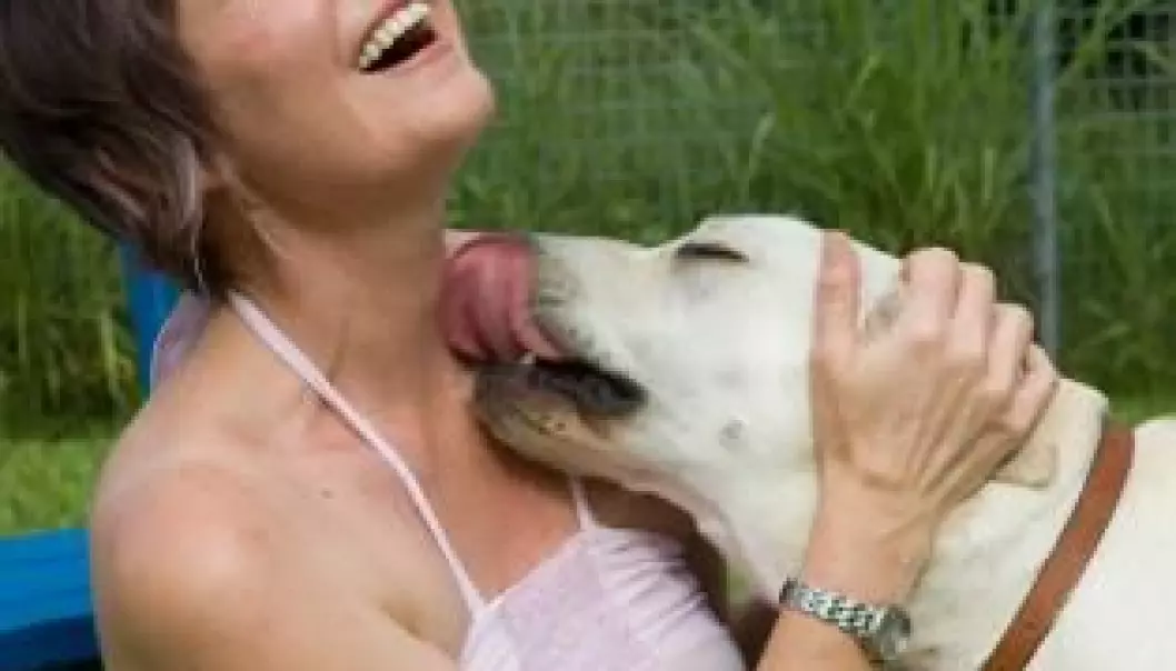 A loving lick from a dog is accepted in most situations. Question is, when and why we set the limit -- and if the arguments against it are based on sound facts. (Foto: onceawitkin)
