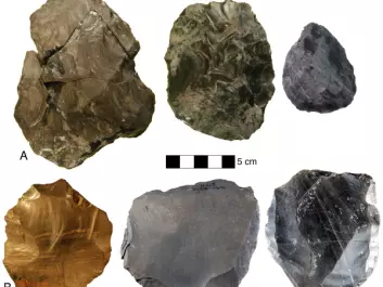 The difference between bifacial technology and Levalloisian technology. The stone tools in the top row were made using bifacial technology, whereas those on the bottom row were the product of the Levalloisian technique. 