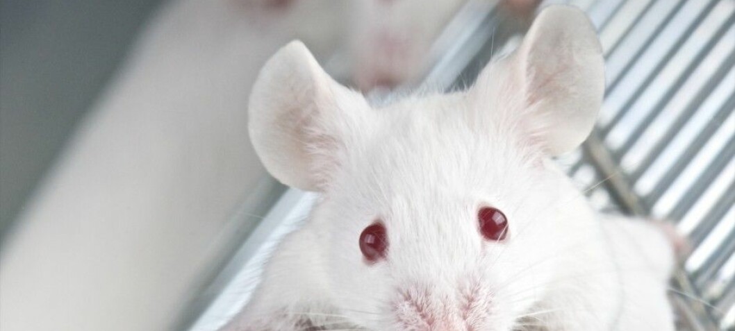 New method to detect toxin can replace animal testing