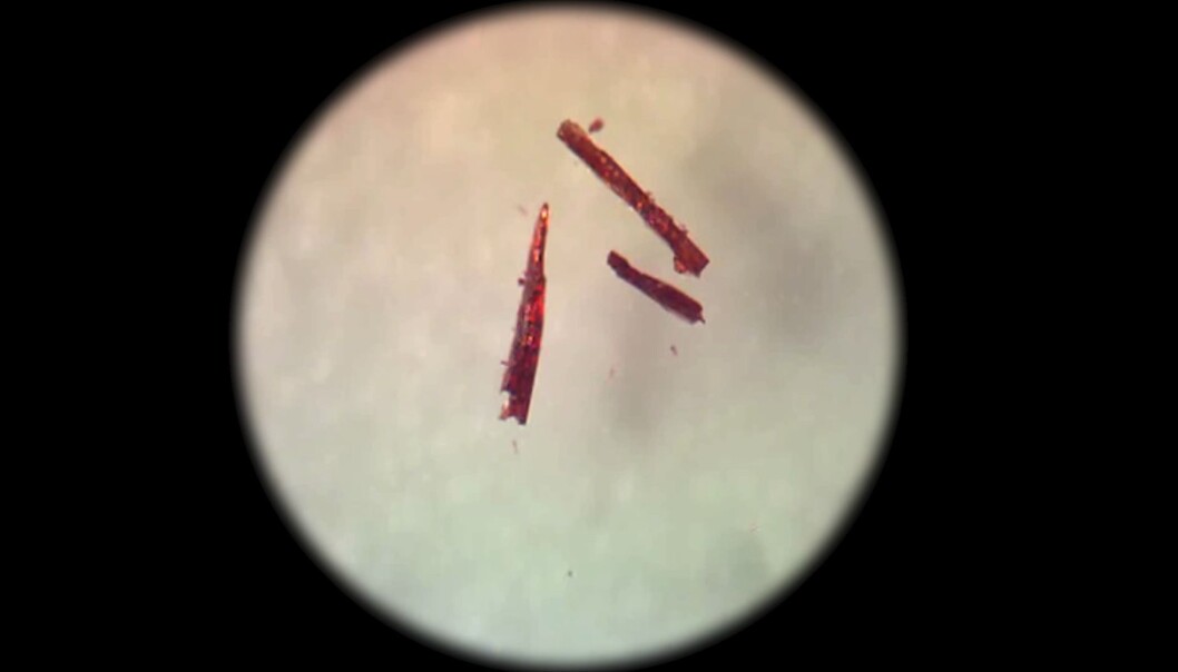 According to the scientists, it is rather exciting that the crystals do not break when so many chemical reactions occur as do during the process of binding and releasing the oxygen. Here the crystals are red because they are less saturated with oxygen. According to the scientists, it is rather exciting that the crystals do not break when so many chemical reactions occur as do during the process of binding and releasing the oxygen. Here the crystals are red because they are less saturated with oxygen.