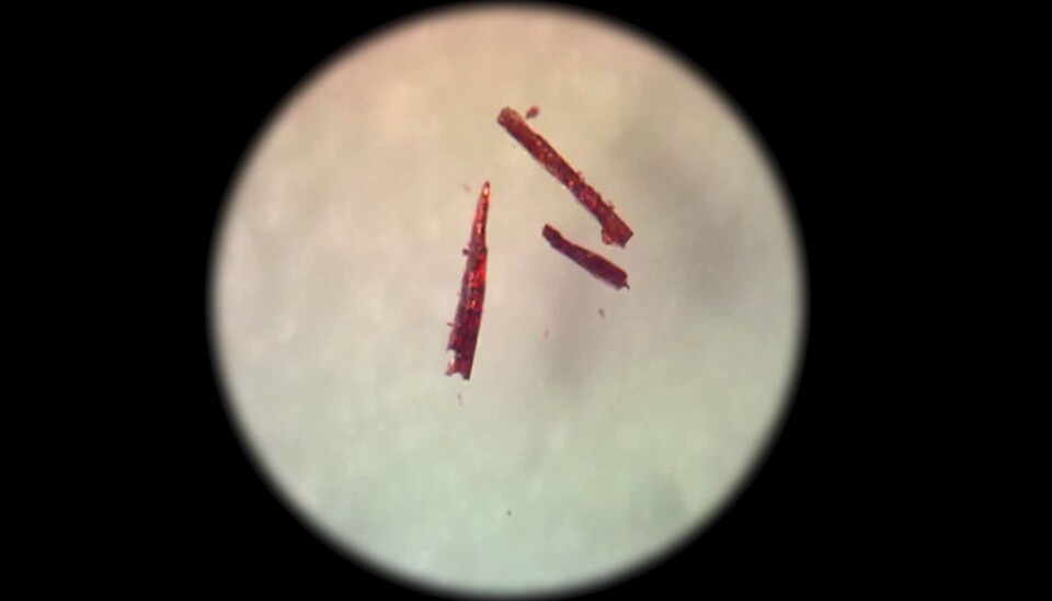 According to the scientists, it is rather exciting that the crystals do not break when so many chemical reactions occur as do during the process of binding and releasing the oxygen. Here the crystals are red because they are less saturated with oxygen.