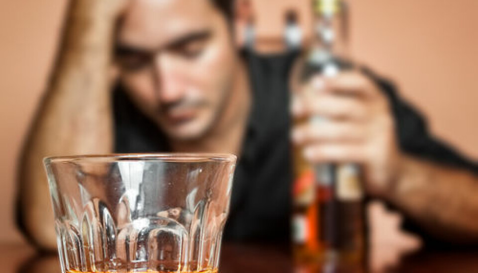 It could be that some alcoholics have a particularly hard time quitting the alcohol because they have fewer intestinal bacteria than other people. (Photo: Shutterstock)