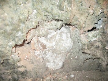 The green vitrified minerals at top are from the inside of the kiln. Ihr’s research shows that the kiln was used for making ceramics, however, not glass. The glass coating was formed by accident as dried fish had been used as fuel. (Photo: Anna Ihr) The green vitrified minerals at top are from the inside of the kiln. Ihr’s research shows that the kiln was used for making ceramics, however, not glass. The glass coating was formed by accident as dried fish had been used as fuel. (Photo: Anna Ihr)
