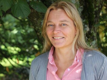 Anna Ihr (Photo: University of Gothenburg) Anna Ihr (Photo: University of Gothenburg)
