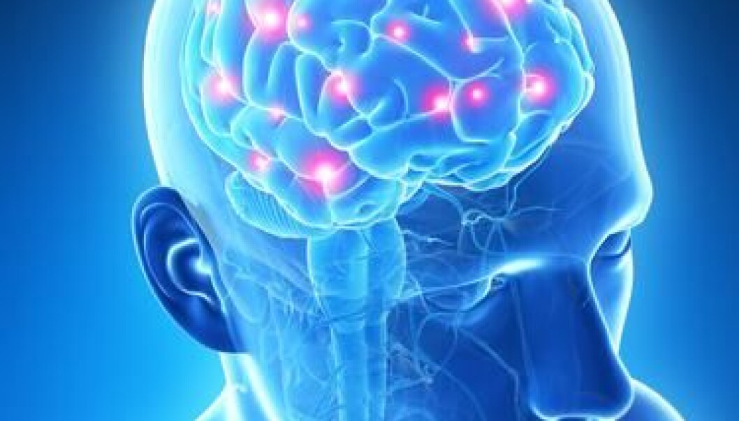 Danish and international scientists want to develop better scanning methods to unravel the hidden secrets of the brain. (Photo: <a href="http://www.shutterstock.com/pic-128576327/stock-photo--d-rendered-illustration-active-brain.html" target="_blank">Shutterstock</a>) Danish and international scientists want to develop better scanning methods to unravel the hidden secrets of the brain. (Photo: <a href="http://www.shutterstock.com/pic-128576327/stock-photo--d-rendered-illustration-active-brain.html" target="_blank">Shutterstock</a>)