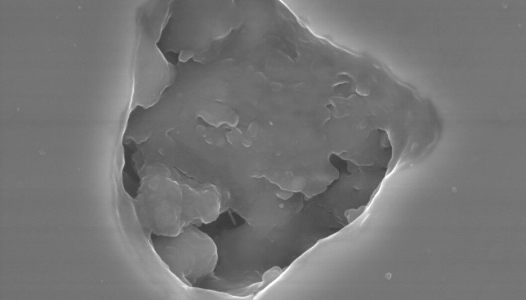 One of the diamonds, photographed through an electron microscope. (Photo: Marian Janak) One of the diamonds, photographed through an electron microscope. (Photo: Marian Janak)
