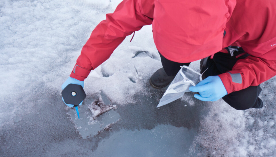 The scientists took many samples to discover the causes of dark ice. (Photo: Dark Snow Project)