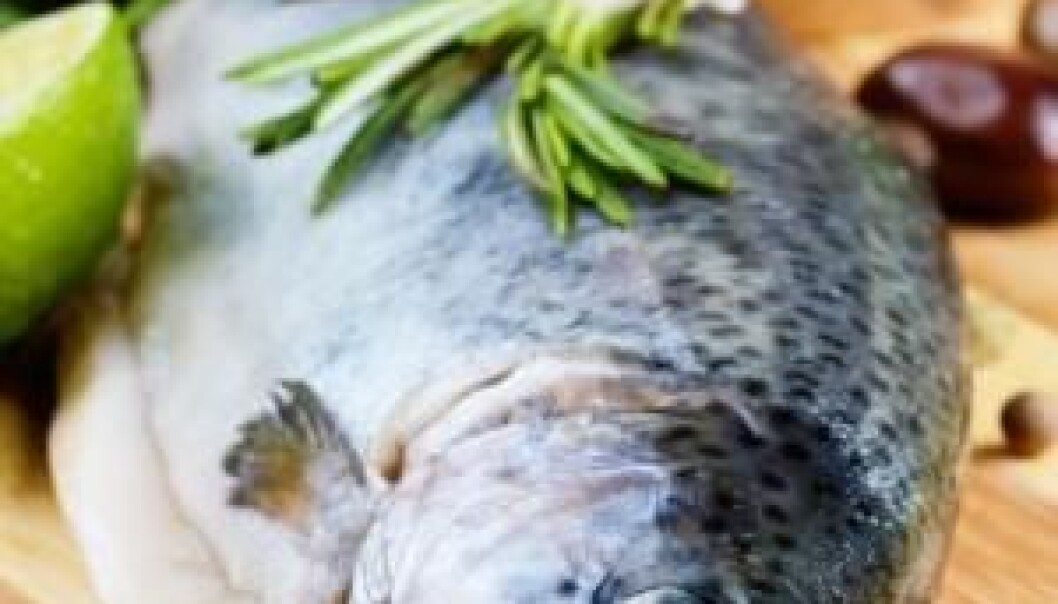 Most Danes are not getting enough but vitamin D even though a decent portion of fatty fish twice a week would cover the needs. (Photo: Colourbox) Most Danes are not getting enough but vitamin D even though a decent portion of fatty fish twice a week would cover the needs. (Photo: Colourbox)