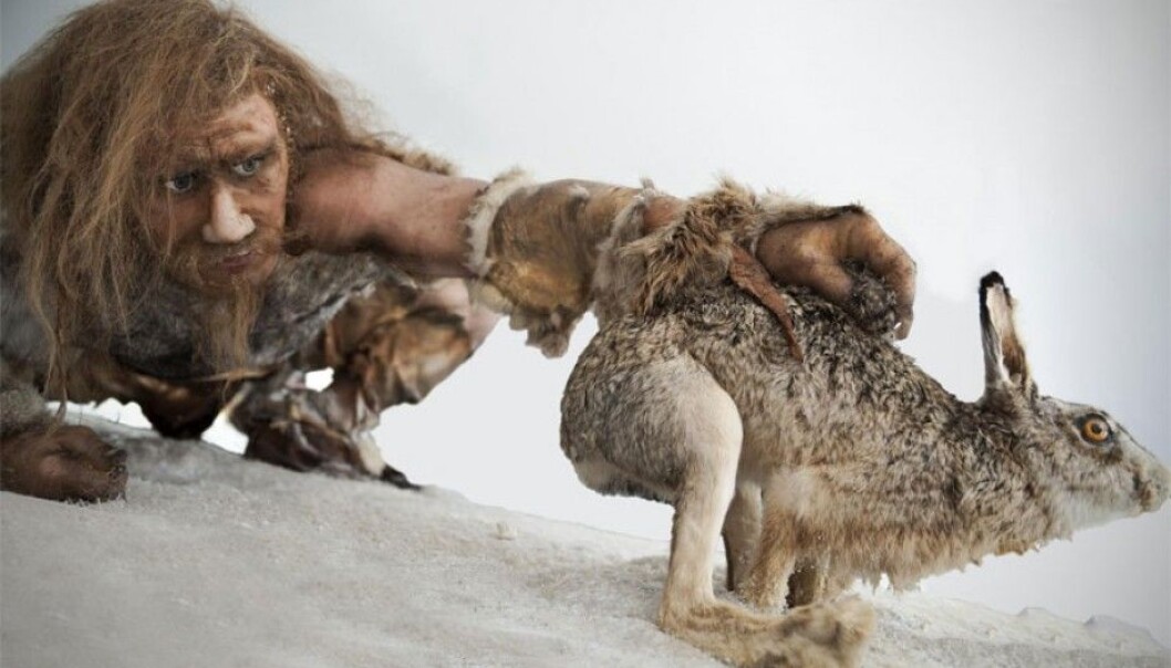 Stone Age families ate whatever edible things they could get their hands on. Game was always welcome on the bonfire. Survival demanded lots of exercise. (Illustrative photo: Colourbox) Stone Age families ate whatever edible things they could get their hands on. Game was always welcome on the bonfire. Survival demanded lots of exercise. (Illustrative photo: Colourbox)