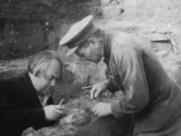 The Kostenki fossils were excavated in 1954. The photo shows the leader of the expedition, A.N. Rogachev (left) and M.M. Gerasimov (right). (Photo: Peter the Great Museum of Anthropology and Ethnography) 