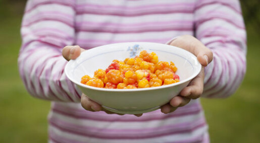 New Nordic food is a niche New Nordic food is a niche