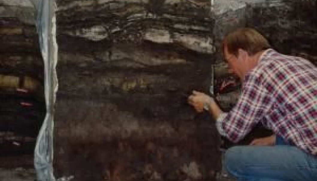Archaeologist Stig Jensen at the dig at Sct Nicolajgade 8 in 1986. It was data from this dig that formed the basis for Croix's new analyses and conclusions. (Photo: Southwest Jutland Museums) Archaeologist Stig Jensen at the dig at Sct Nicolajgade 8 in 1986. It was data from this dig that formed the basis for Croix's new analyses and conclusions. (Photo: Southwest Jutland Museums)