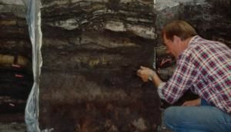 Archaeologist Stig Jensen at the dig at Sct Nicolajgade 8 in 1986. It was data from this dig that formed the basis for Croix's new analyses and conclusions. (Photo: Southwest Jutland Museums)