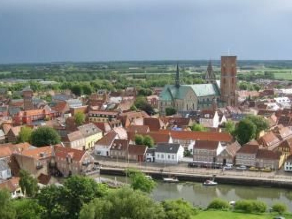 In Viking times Ribe was a important trading centre. The new study strongly suggests that Ribe became a town earlier than thought. This rocks the existing conception of Scandinavia's urban history. (Photo: visitribe.dk)
